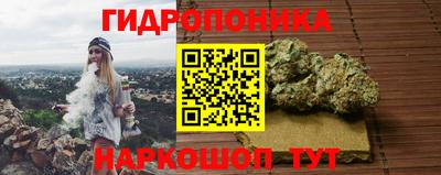 гидропоника Славгород